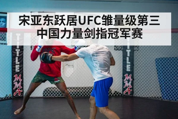 宋亚东跃居UFC雏量级第三中国力量剑指冠军赛